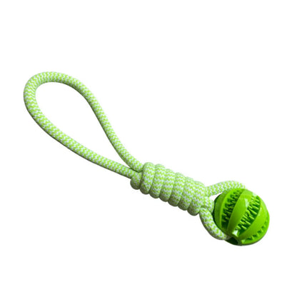 Jouets ultra-résistants et ludiques pour chiens heureux