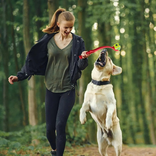 Lanceur de balle ergonomique pour chiens actifs & dressage en plein air