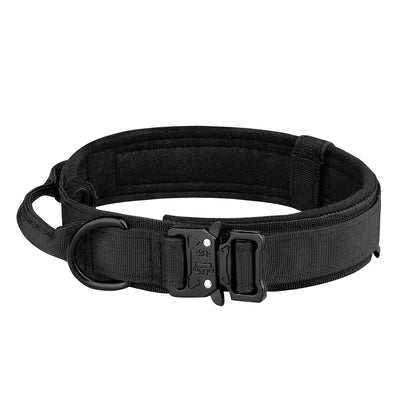 Collier Tactique Militaire pour Chien – Boucle Métal & Nylon Renforcé