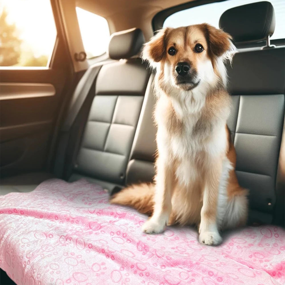 Serviette Ultra-Douce pour Chiens  Confort & Séchage Rapide