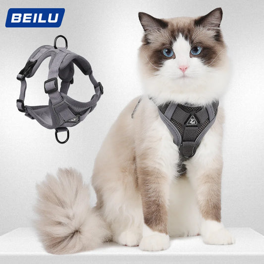 Le Harnais Chic et Solide pour Promenades Maîtrisées pour Chats