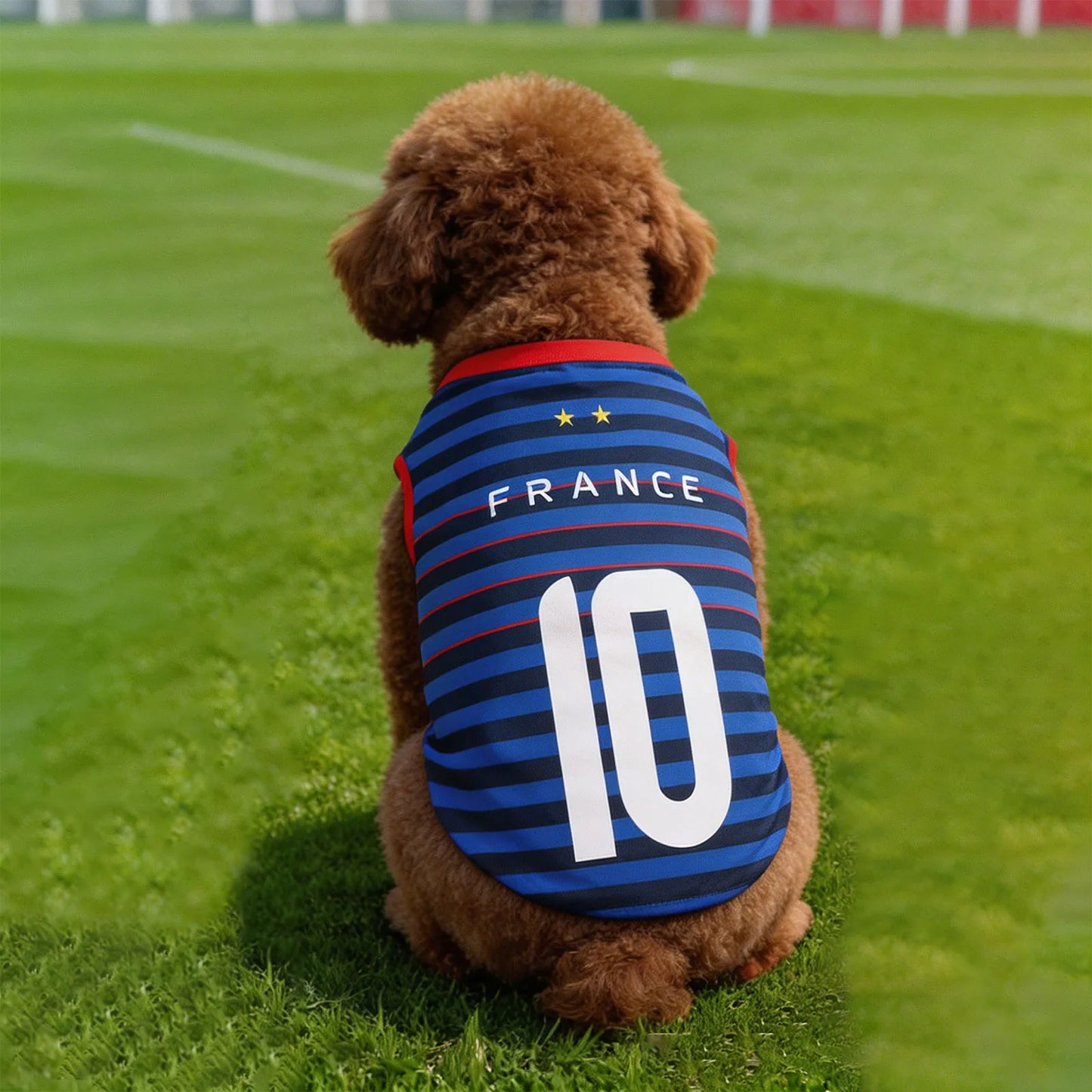 Tenue Football Équipe de France pour Chien – Prêt pour la Coupe du Monde !