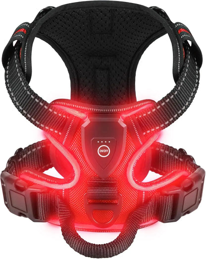 Harnais pour Chien Led