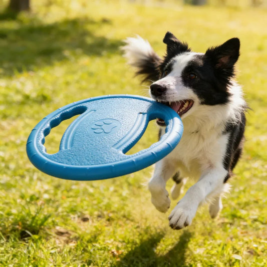 Disque Volant EVA Ultra Résistant pour Chien