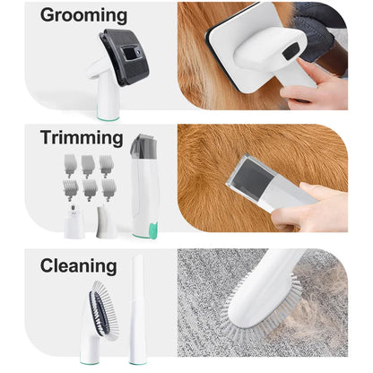Fini les Poils Partout : Toilettage Pro et Relax