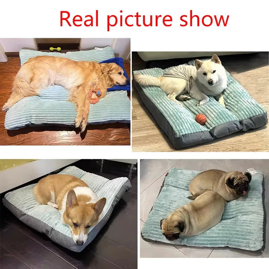 Tapis de Sommeil Confort Toutes Tailles