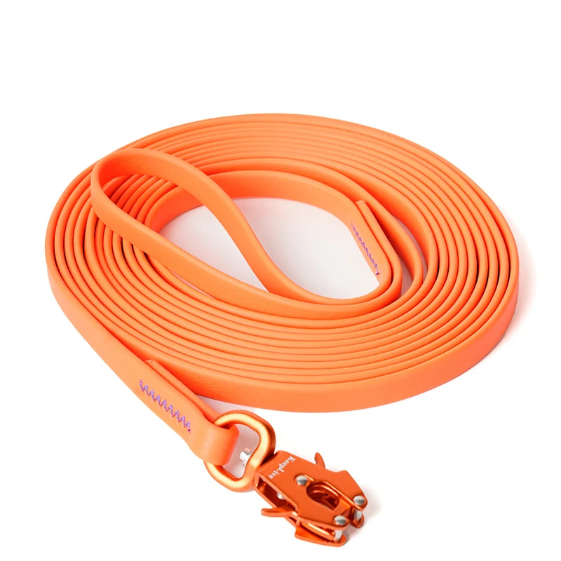 Longe de Dressage – Liberté et Contrôle pour votre Chien 3 Couleurs