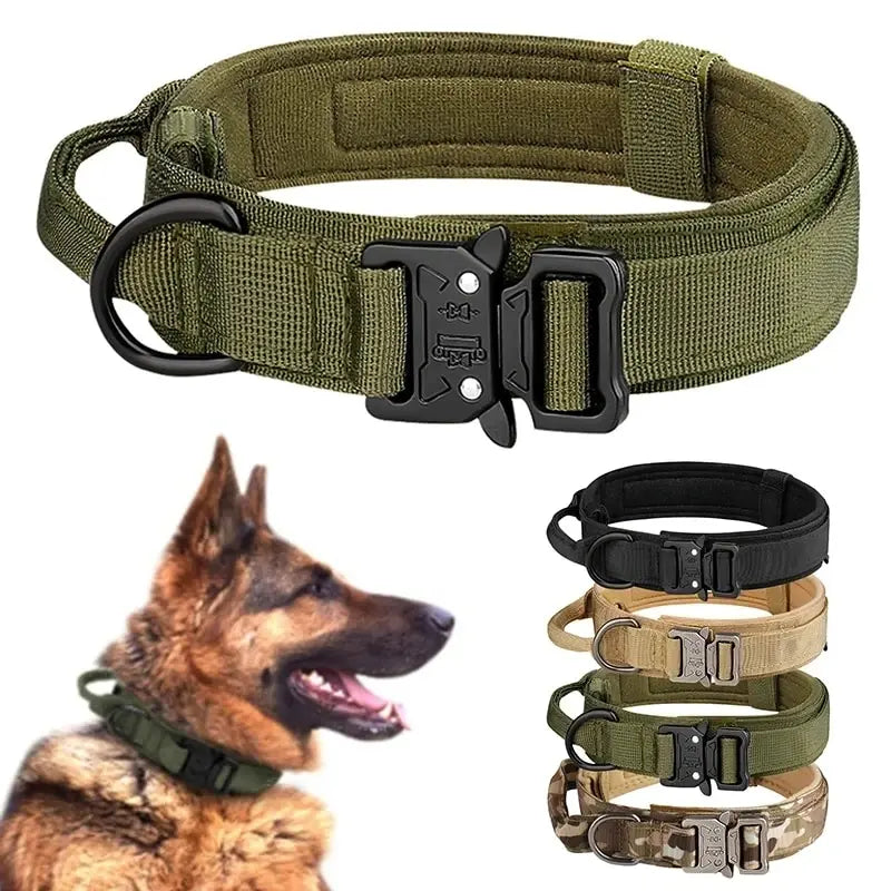 Collier Tactique Militaire pour Chien – Boucle Métal & Nylon Renforcé