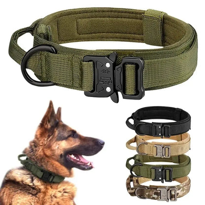 Collier Tactique Militaire pour Chien – Boucle Métal & Nylon Renforcé