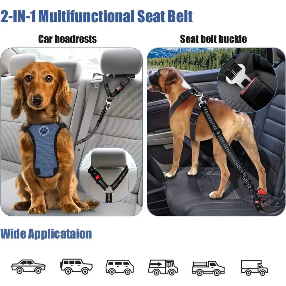 Ceinture de sécurité réglable pour chien