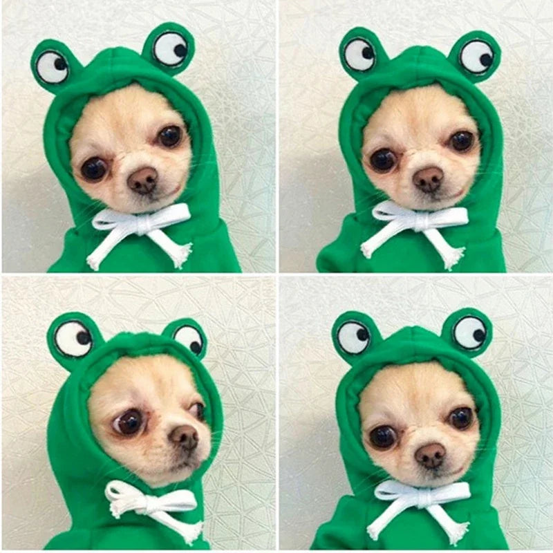 Sweat Polaire Grenouille & Bouledogue Français – Mignon & Chaud pour Chiens est Chats