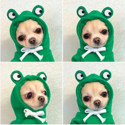 Sweat Polaire Grenouille & Bouledogue Français – Mignon & Chaud pour Chiens est Chats