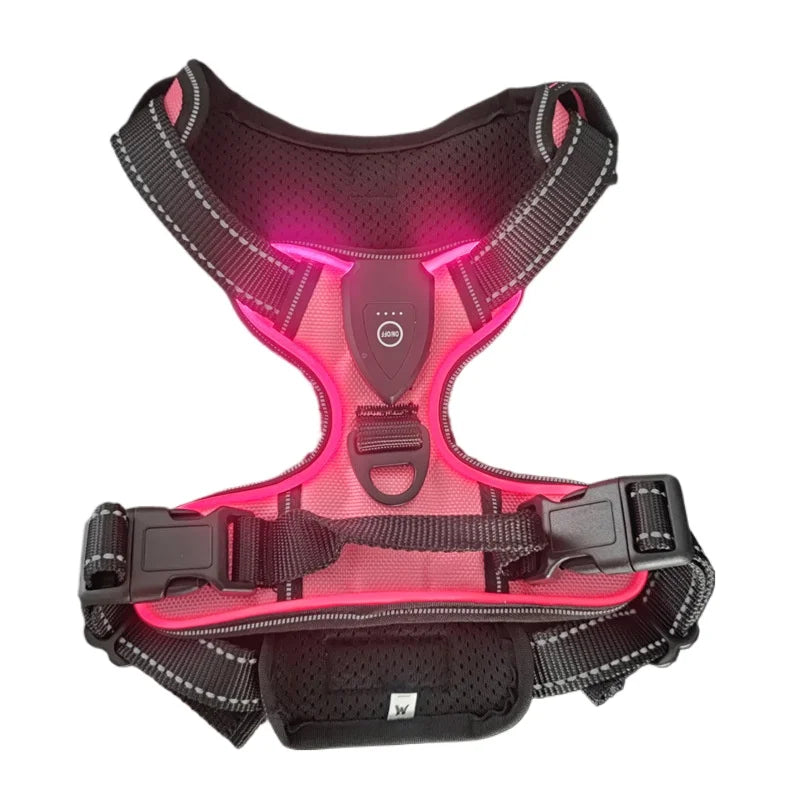 Harnais pour Chien Led