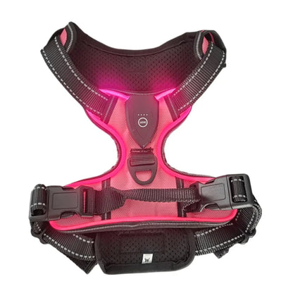 Harnais pour Chien Led