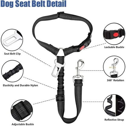 Ceinture de sécurité réglable pour chien