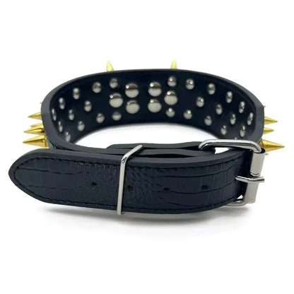 Collier & Laisse à Pointes en Cuir Riveté
