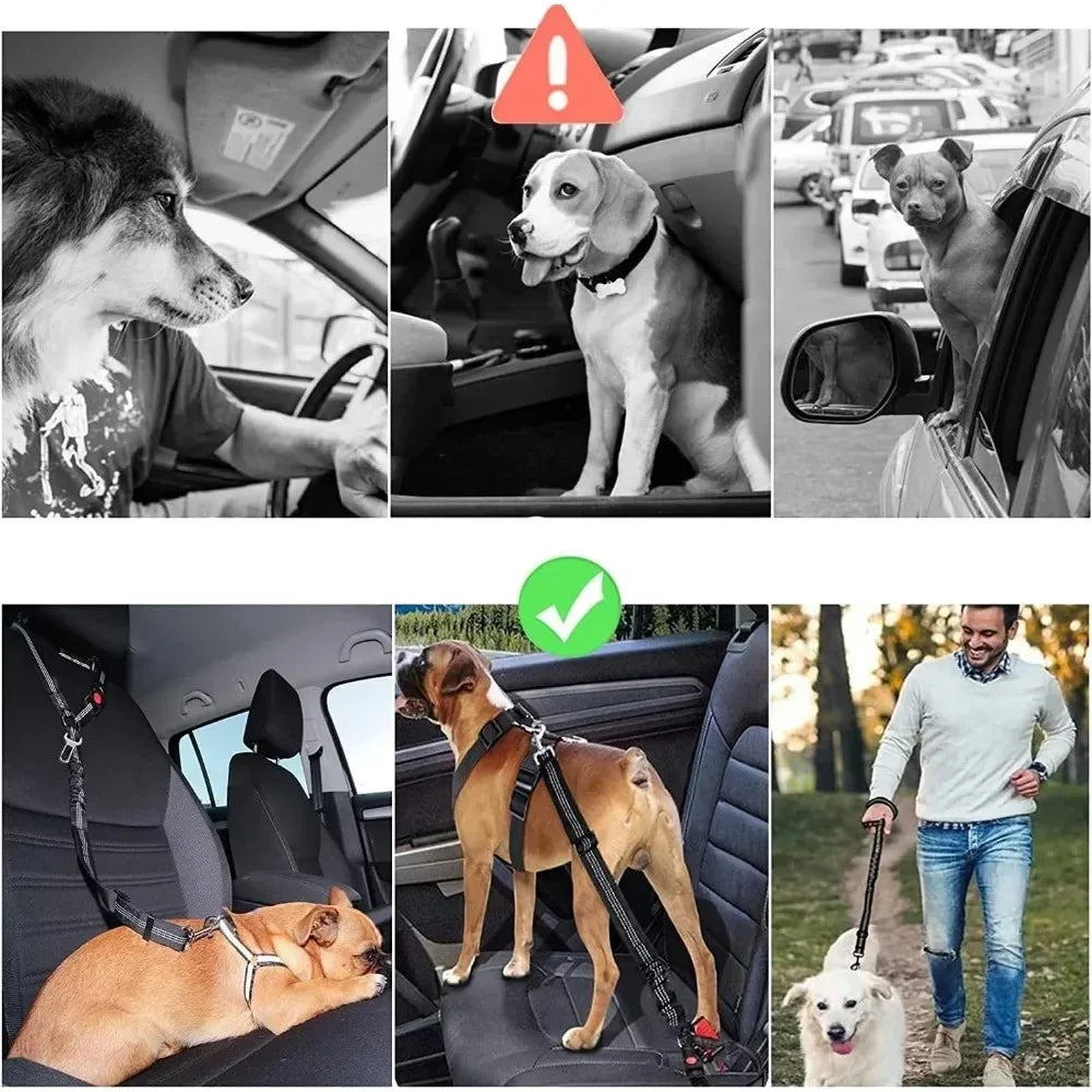 Ceinture de sécurité réglable pour chien