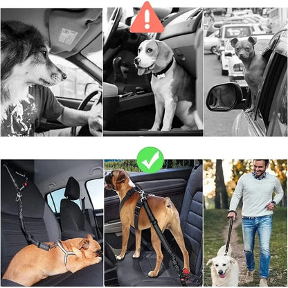 Ceinture de sécurité réglable pour chien