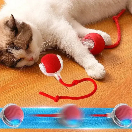 Balle Automatique pour Chat Jouet Interactif