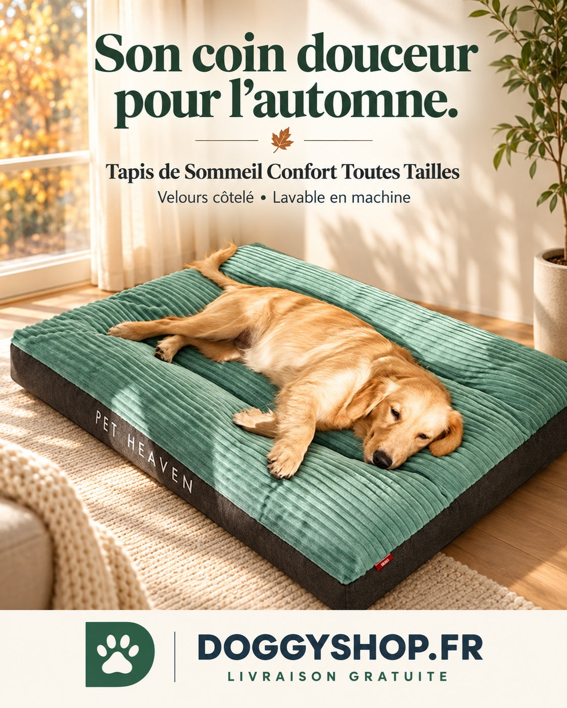 Chien allongé sur le tapis de sommeil vert de la publication Son coin douceur pour l’automne.
