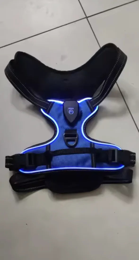 Harnais LED bleu allumé posé à plat